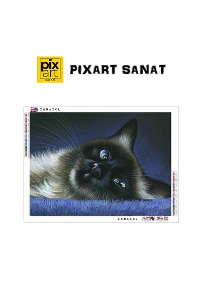 pixartsanat Siamese Cat 50x35 PixArt Art Diamond Mosaic Painting Diamond Turkey