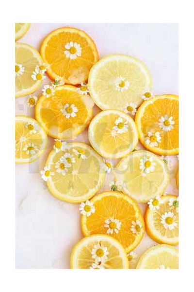 pixartsanat Lemon Slices Pixart Art Diamond Mosaic Painting Diamond Turkey 40*60