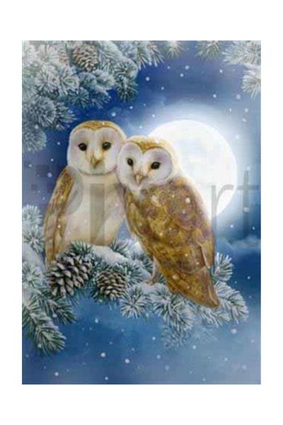 pixartsanat Happy Owl Family Pixart Art Diamond Mosic Painting Daimond Turkey 43*60