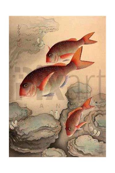 pixartsanat Turucucu Fishes in Pale Painting Pixart Art Diamond Mosic Painting Daimond Türkiye 58*83
