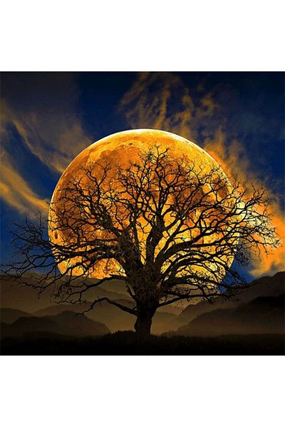 pixartsanat Moon And Dried Tree Pixart Art Diamond Mosaic Painting Diamond Turkey 50*35