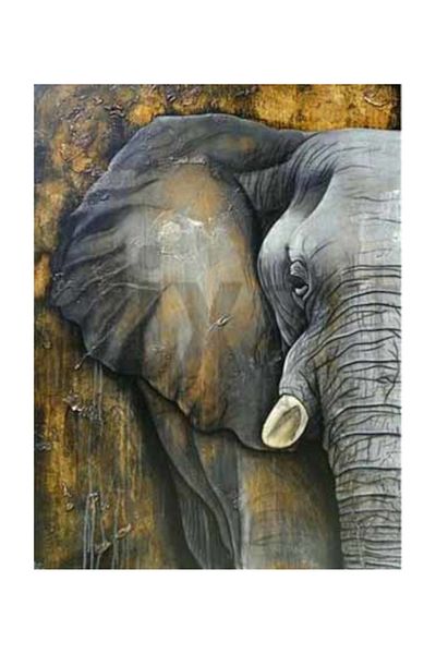 pixartsanat Elephant Painting Pixart Art Diamond Mosaic Painting Diamond Türkiye 40*40