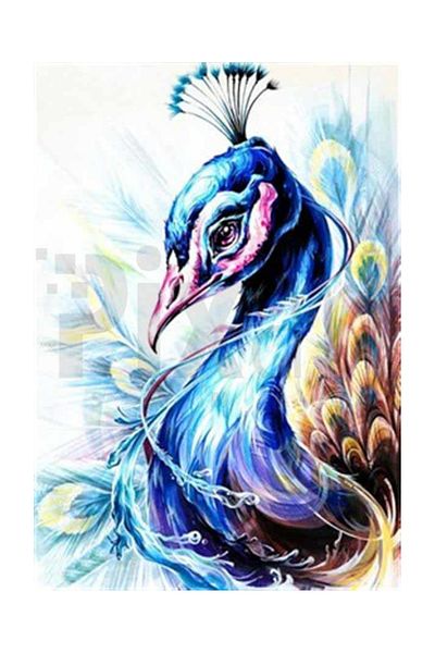 pixartsanat Legendary Peacock Pixart Art Diamond Mosaic Painting Daimond Turkey 40*57