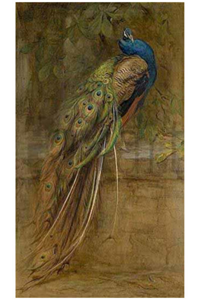 pixartsanat Kahverengi Tavus Kuşu Pixart Sanat Elmas Mozik Tablo Daimond Türk...