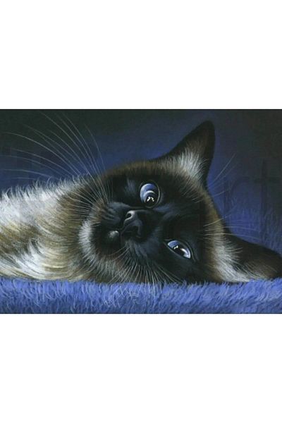 pixartsanat Siamese Cat 50x35 PixArt Art Diamond Mosaic Painting Diamond Turkey