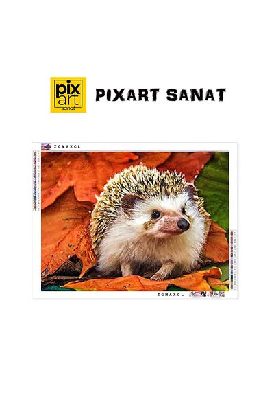 pixartsanat Sweet Hedgehog 30X40 Pixart Art Diamond Mosaic Painting Diamond Turkey