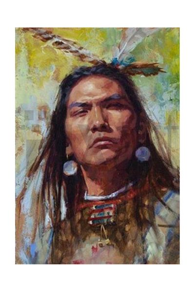 pixartsanat Native American Woman Pixart Art Diamond Mosaic Painting Diamond Türkiye 36*51