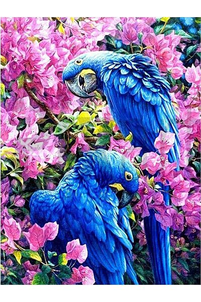 pixartsanat Blue Parrot 30*40 Cm Pixart Art Diamond Mosaic Painting Diamond Turkey