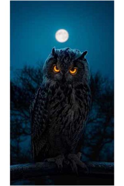 pixartsanat Dark And Owl Pixart Art Diamond Mosaic Painting Diamond Türkiye 40*60