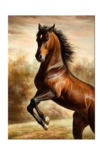 pixartsanat Astonished Horse PixArt Art Diamond Mosaic Painting Diamond Turkey 59*62