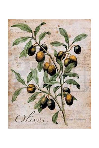 pixartsanat Olive Branch Pixart Art Diamond Mosaic Painting Diamond Türkiye 46*56