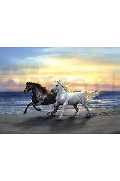 pixartsanat Horses 30x40cm PixArt Art Diamond Mosaic Painting Diamond Turkey