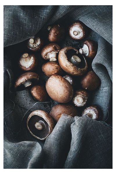 pixartsanat Chestnut Mushroom Pixart Art Diamond Mosaic Painting Diamond Turkey 43*61
