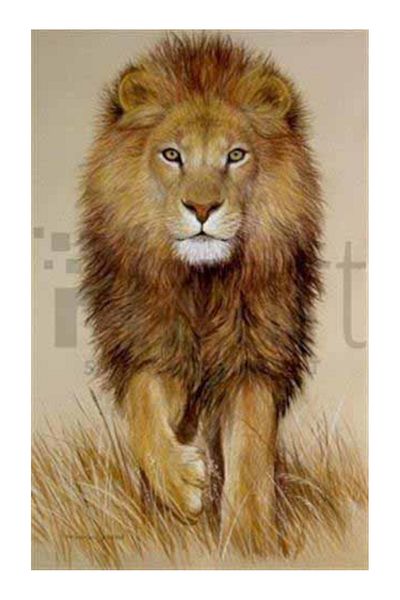 pixartsanat Lion with Gour Mane Pixart Art Diamond Mosic Painting Daimond Türkiye 32*53