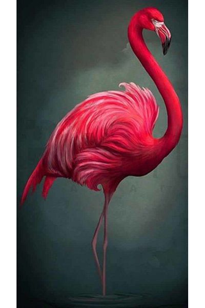 pixartsanat Red Flamingo Pixart Art Diamond Mosic Painting Daimond Turkey 43*76