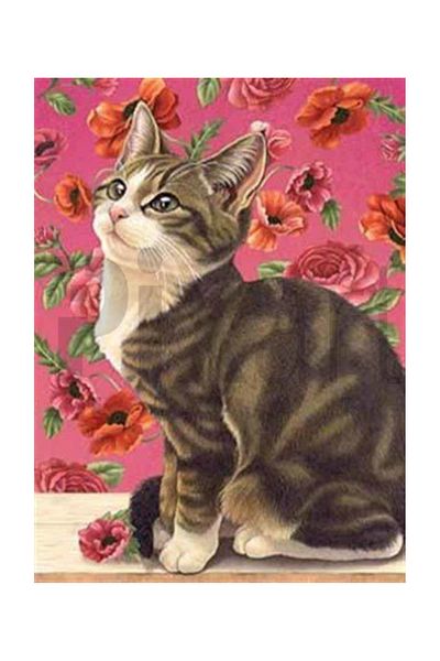 pixartsanat Sweet Kitten with Sweet Position PixArt Art Diamond Mosaic Painting Daimond Turkey 43*58