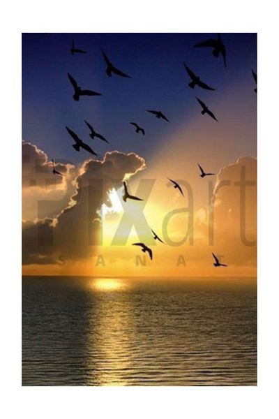 pixartsanat Sky And Migrant Birds Pixart Art Diamond Mosaic Painting Diamond Turkey 40*60