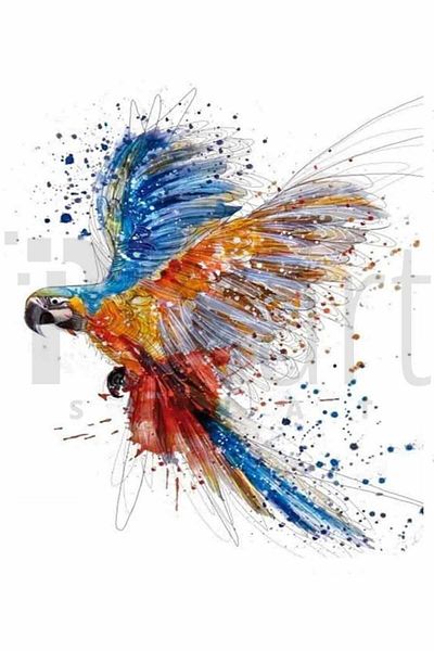 pixartsanat Colorful Parrot 50x50 PixArt Art Diamond Mosaic Painting Diamond Turkey