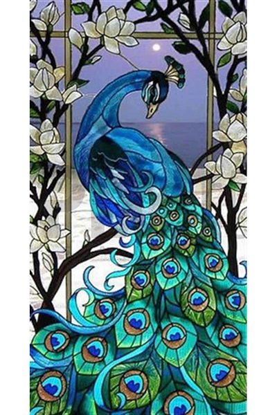 pixartsanat Peacock in the Frame Pixart Art Diamond Mosaic Painting Daimond Turkey 32*60