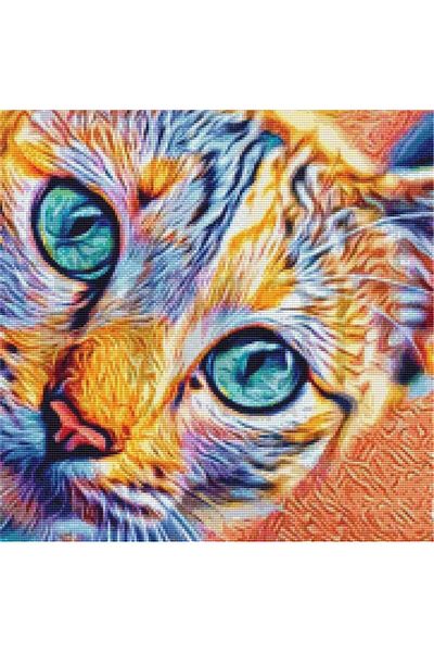 pixartsanat Colorful Cat 45x45 PixArt Art Diamond Mosaic Painting Diamond Türkiye