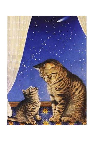 pixartsanat Mother Cat and Her Baby in the Balcony Scenery Pixart Art Diamond Mosic Painting Daimond Turkey 55*76