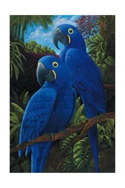 pixartsanat Doğadakiki Blue Friends Pixart Art Diamond Mosaic Painting Diamond Türkiye 42*59