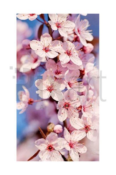 pixartsanat Cherry Blossoms Pixart Art Diamond Mosaic Painting Diamond Turkey 35*60