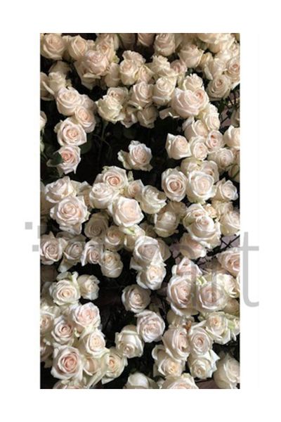 pixartsanat White Roses Pixart Art Diamond Mosaic Painting Diamond Turkey 38*64