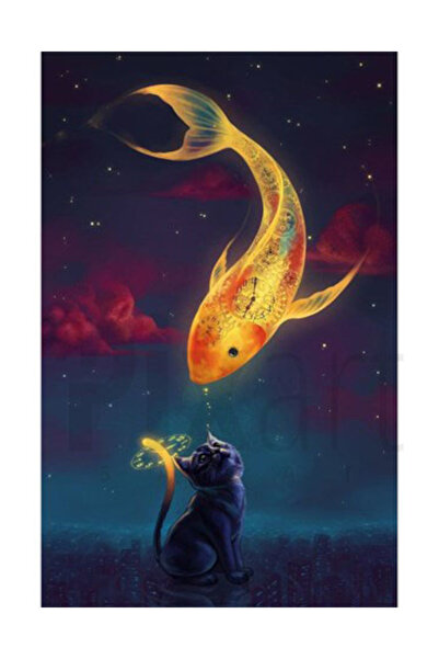 pixartsanat Koi Balıgı Ve Kedi Pixart Sanat Elmas Mozaik Tablo Diamond Türkiy...