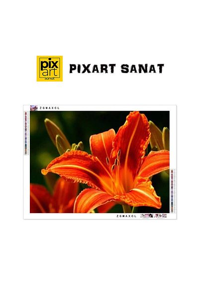 pixartsanat Orange Flower 50x35 PixArt Art Diamond Mosaic Painting Diamond Turkey
