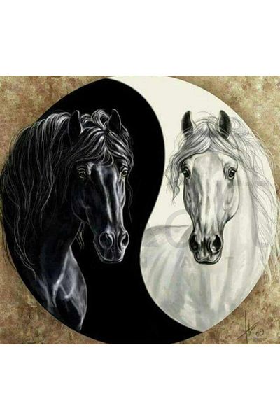 pixartsanat Yin Yang Horses 50x50 PixArt Art Diamond Mosaic Painting Diamond Turkey