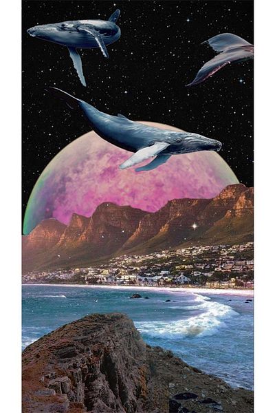 pixartsanat Flying Whales Pixart Art Diamond Mosaic Painting Diamond Turkey 40*60