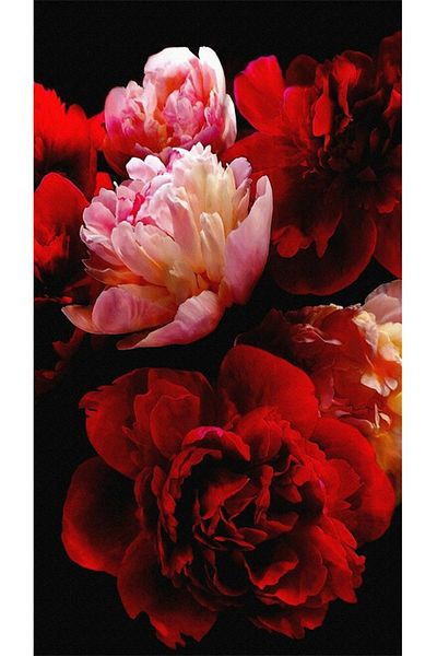 pixartsanat Red Pink Roses Pixart Art Diamond Mosaic Painting Diamond Turkey 36*71