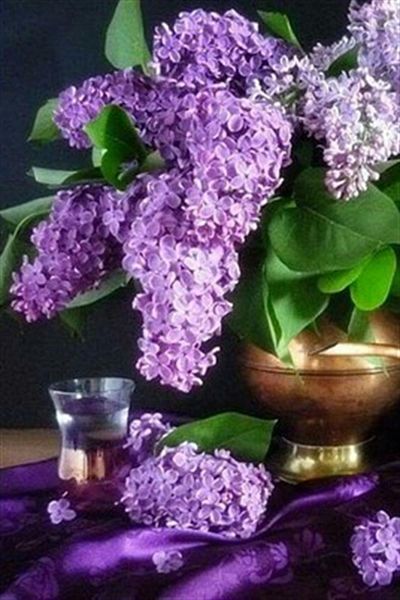 pixartsanat Lilac Cluster Flower Pixart Art Diamond Mosaic Painting Diamond Türkiye 38*55