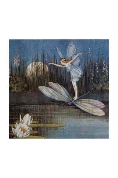 pixartsanat Fairy And Dragonfly Pixart Art Diamond Mosaic Painting Diamond Turkey 75*75