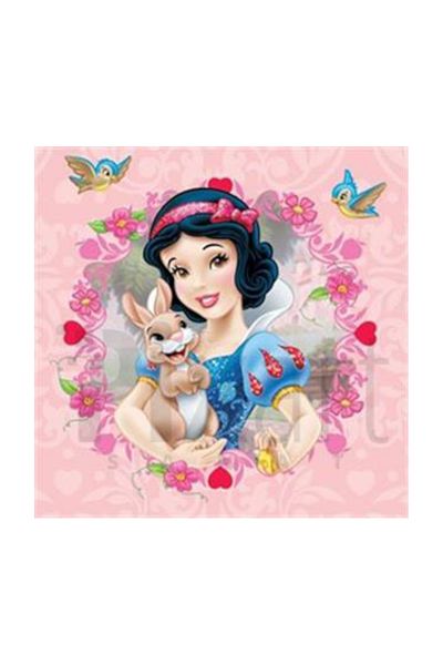 pixartsanat Snow White And Her Bunny Pixart Art Diamond Mosaic Painting Diamond Türkiye 71*71