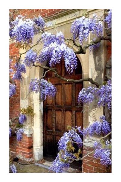 pixartsanat Purple Door Behind the Clusters Pixart Art Diamond Mosaic Painting Diamond Türkiye 45*71