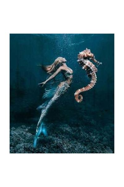 pixartsanat Sea Horse And Mermaid Pixart Art Diamond Mosaic Painting Diamond Turkey 58*66
