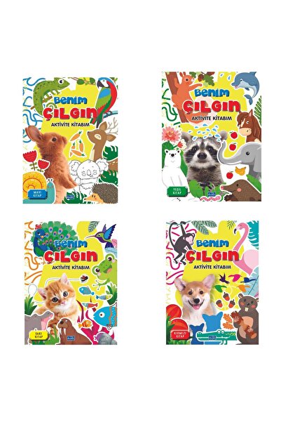 Parıltı Yayınları 3+ YAŞ - BENİM ÇILGIN AKTİVİTE KİTABİM  4 KİTAP SET