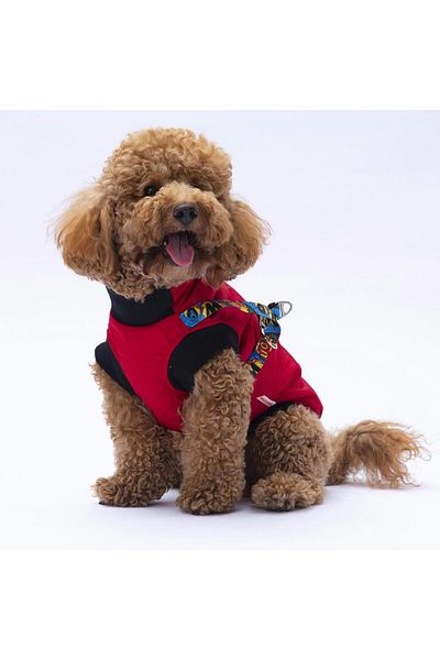 Pawstar Red Nuuk Vest Dog Vest Dog Outfit Dog Raincoat