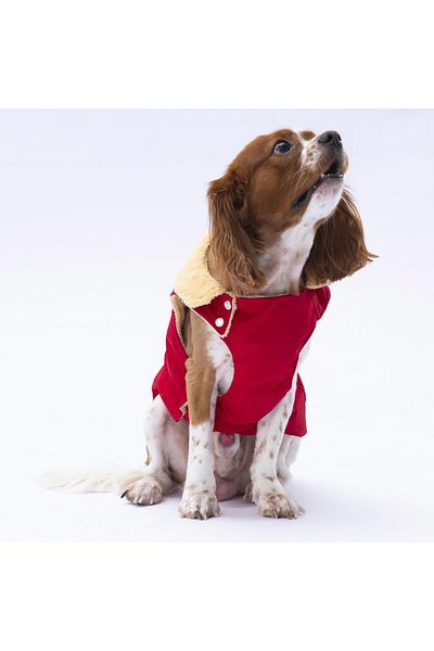 Pawstar Red Yukon Vest Dog Vest Dog Outfit Dog Raincoat