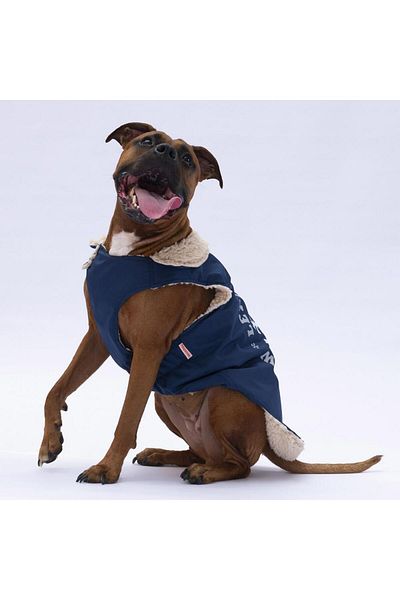 Pawstar Navy Blue Yukon Large Breed Dog Vest Dog Outfit Dog Raincoat