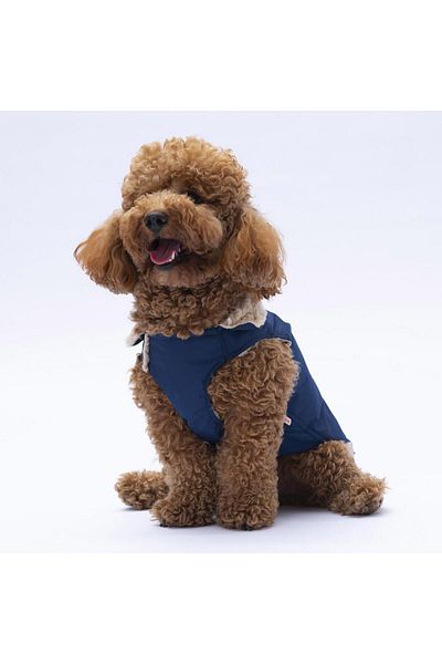 Pawstar Navy Blue Yukon Vest Dog Vest Dog Outfit Dog Raincoat