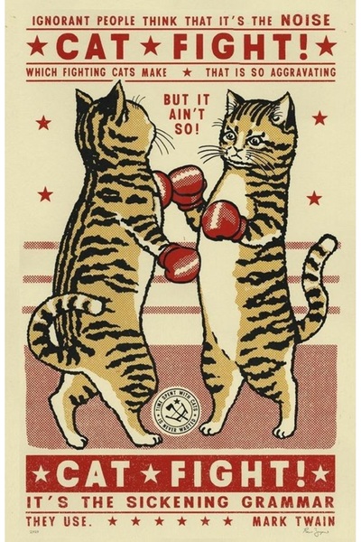 512 STORE Cat Fight / Kedi Tasarım Duvar Dekor Poster 30x42 Çerçevesiz