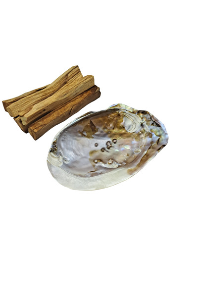 Morey Deniz Kabuğu Ağaç Tütsülük + 5 Adet Palo Santo