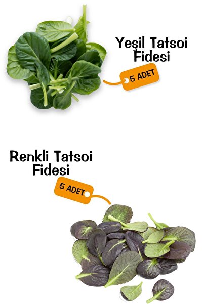 Gardina Mix Tatsoi Fidesi 10 Adet