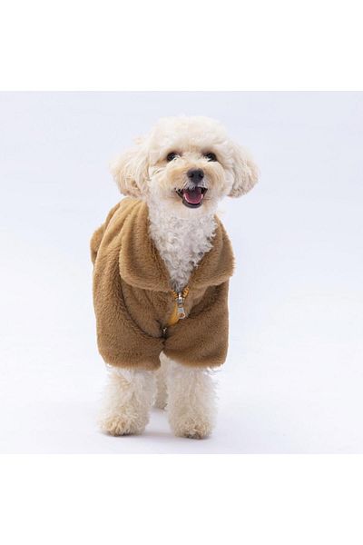 Pawstar Brown Paris Coat Cat Dog Jacket Cat Dog Outfit Cat Dog Dress