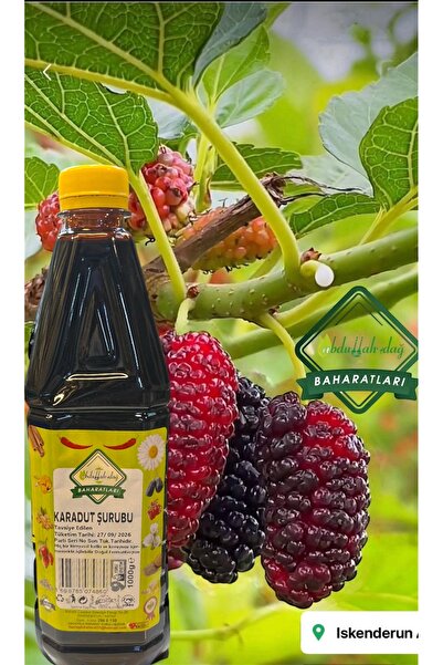 ABDULLAH DAĞ ABDULLAH DAğ Hatay Yöresel Kara Dut Kan Dut Şurubu Karadut Özü 1...