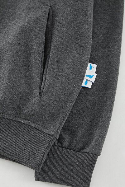 Trendyol Collection Fleece Smoked Oversize Hooded Sweatshirt - Tmnaw25Sw00115