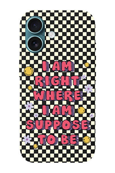 shoptocase iPhone 16 PLUS Uyumlu Suppose Desenli İçi Süet Silikon Telefon Kılıfı